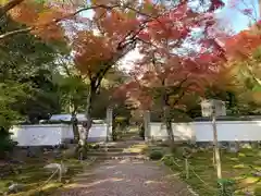 浄住寺の建物その他