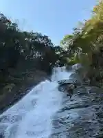 観音滝観音の{uncategorized: "未分類", other: "その他", undefined: "問題あり", building: "その他建物", grave: "お墓", sacred_gate: "鳥居", guardian: "狛犬", statue: "像", buddha: "仏像", history: "歴史", nature: "自然", garden: "庭園", animal: "動物", pagoda: "塔", temizu: "手水舎", mountain_gate: "山門・神門", sanctuary: "本殿・本堂", subordinate: "末社・摂社", art: "芸術", scenery: "景色", jizo: "地蔵", ema: "絵馬", goshuin: "御朱印", omikuji: "おみくじ", items: "授与品その他", amulet: "お守り", goshuincho: "御朱印帳", eats: "食事", festival: "お祭り", votive_dance: "神楽", shichigosan: "七五三参", wedding: "結婚式", experience: "体験その他", initially: "初詣", around: "周辺", anti_infection: "感染症対策"}