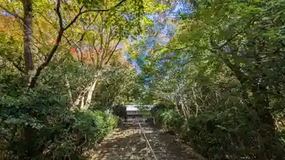 金蔵寺(京都府)