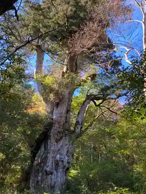 木魂神社(鹿児島県)