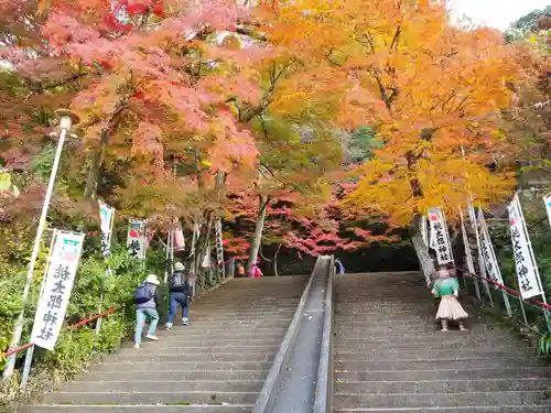 桃太郎神社（栗栖）の景色