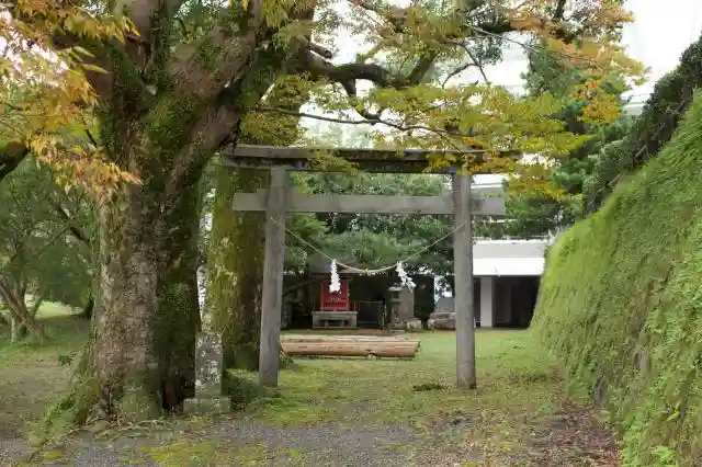 恵比寿神社の鳥居