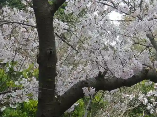 五所神社の自然