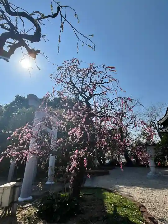 比佐豆知神社の{uncategorized: "未分類", other: "その他", undefined: "問題あり", building: "その他建物", grave: "お墓", sacred_gate: "鳥居", guardian: "狛犬", statue: "像", buddha: "仏像", history: "歴史", nature: "自然", garden: "庭園", animal: "動物", pagoda: "塔", temizu: "手水舎", mountain_gate: "山門・神門", sanctuary: "本殿・本堂", subordinate: "末社・摂社", art: "芸術", scenery: "景色", jizo: "地蔵", ema: "絵馬", goshuin: "御朱印", omikuji: "おみくじ", items: "授与品その他", amulet: "お守り", goshuincho: "御朱印帳", eats: "食事", festival: "お祭り", votive_dance: "神楽", shichigosan: "七五三参", wedding: "結婚式", experience: "体験その他", initially: "初詣", around: "周辺", anti_infection: "感染症対策"}