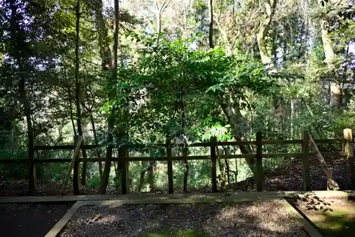 鹿島神宮(茨城県)