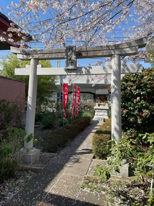 大光寺の{uncategorized: "未分類", other: "その他", undefined: "問題あり", building: "その他建物", grave: "お墓", sacred_gate: "鳥居", guardian: "狛犬", statue: "像", buddha: "仏像", history: "歴史", nature: "自然", garden: "庭園", animal: "動物", pagoda: "塔", temizu: "手水舎", mountain_gate: "山門・神門", sanctuary: "本殿・本堂", subordinate: "末社・摂社", art: "芸術", scenery: "景色", jizo: "地蔵", ema: "絵馬", goshuin: "御朱印", omikuji: "おみくじ", items: "授与品その他", amulet: "お守り", goshuincho: "御朱印帳", eats: "食事", festival: "お祭り", votive_dance: "神楽", shichigosan: "七五三参", wedding: "結婚式", experience: "体験その他", initially: "初詣", around: "周辺", anti_infection: "感染症対策"}