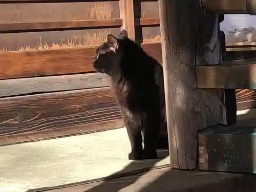 善入院観音堂　仙台第十番札所(宮城県)