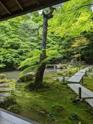 蓮華寺（洛北蓮華寺）の庭園