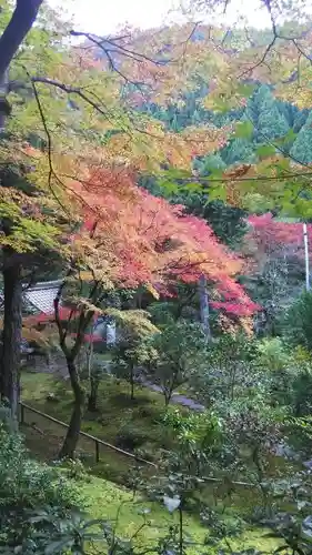 吟松寺の景色