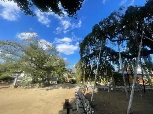 清瀧院(千葉県)