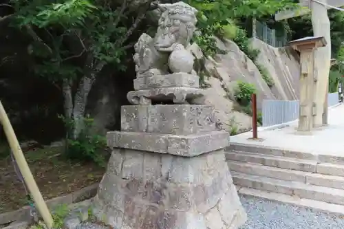 船津八幡神社の狛犬