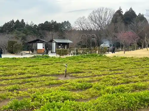 東本願寺本廟 牛久浄苑（牛久大仏）(茨城県)