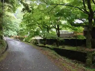 鰐淵寺の周辺