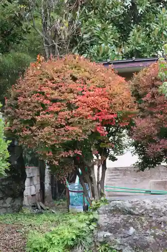 永福寺　童子堂の自然