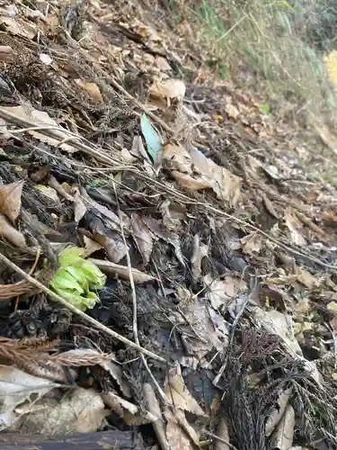 国上寺(新潟県)