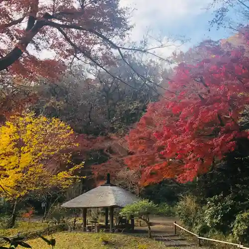 明治神宮の庭園