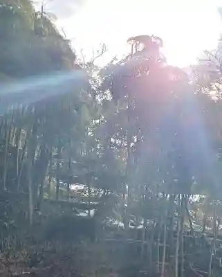 白狐山光星寺(山形県)