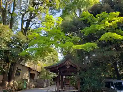 渋谷氷川神社(東京都)
