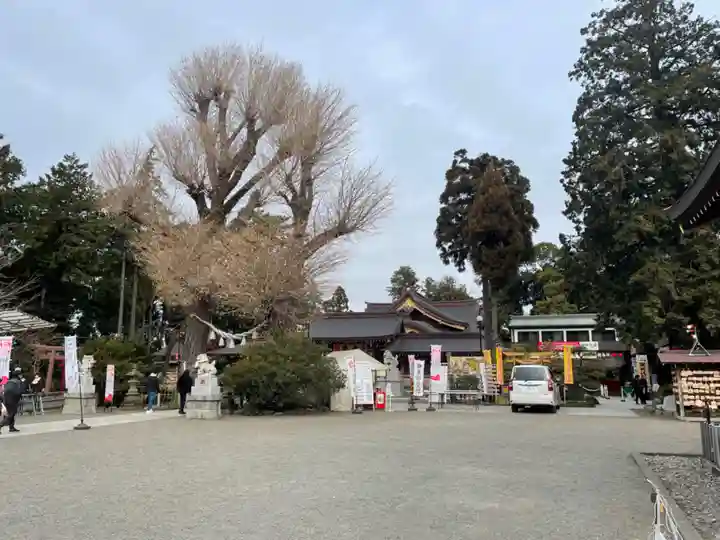 亀ケ池八幡宮のその他建物