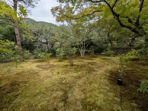 宝厳院(京都府)