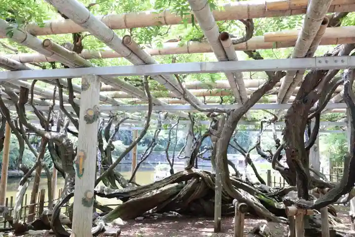 越ヶ谷久伊豆神社(埼玉県)