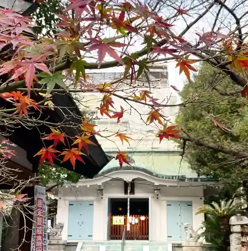 御津八幡宮の本殿