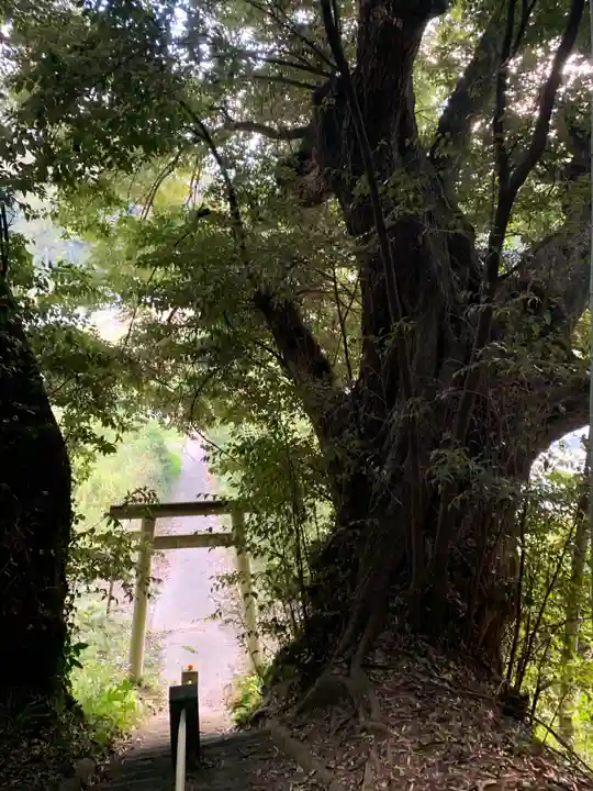 妙見神社(千葉県)