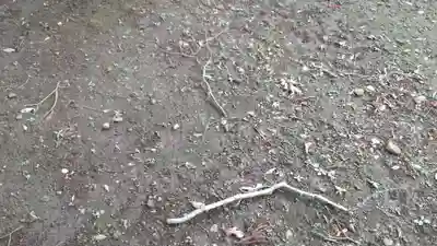 酒門神社のその他建物