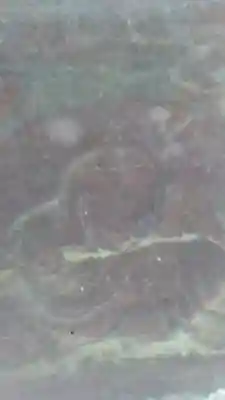 臼杵石仏のその他建物