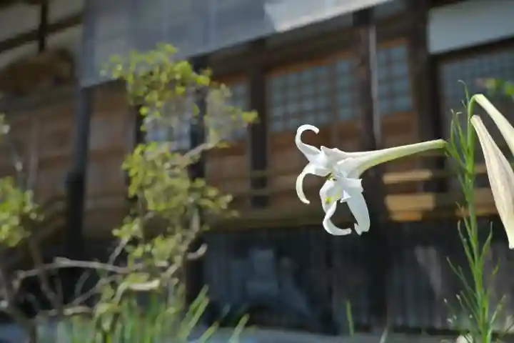 妙徳寺(新潟県)