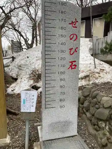 手稲神社の体験その他