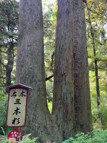 笠森寺(千葉県)