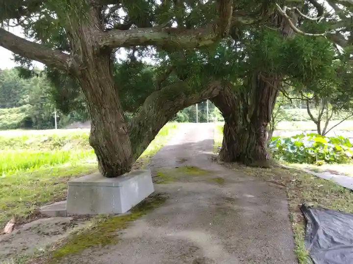 春日神社(福井県)