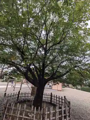 池上本門寺(東京都)