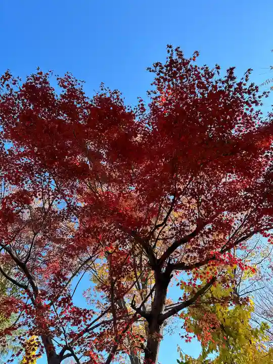 小野神社(東京都)
