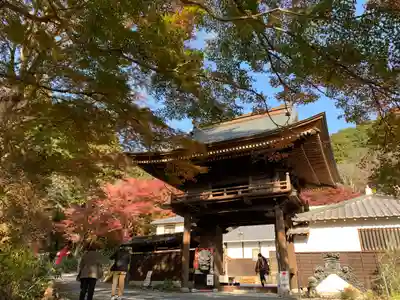 普門寺(切り絵御朱印発祥の寺)の山門・神門