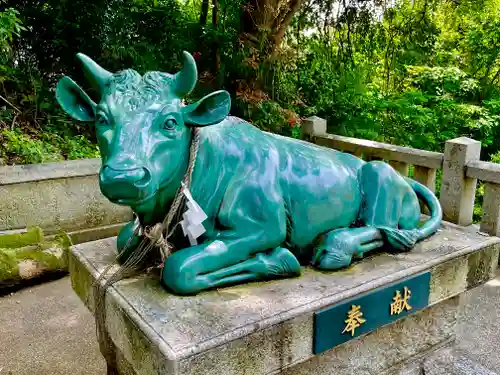 春日神社の狛犬