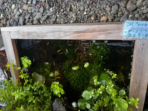 笠森寺(千葉県)