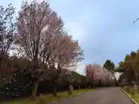 美瑛神社の自然