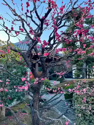 海晏寺(東京都)