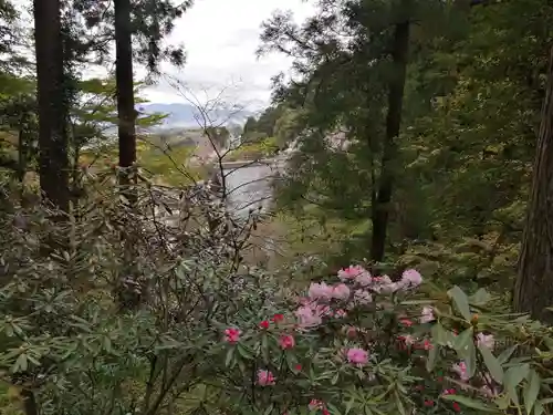 岡寺（龍蓋寺）の自然