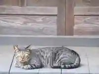 普門寺(東京都)