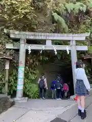 銭洗弁財天宇賀福神社(神奈川県)