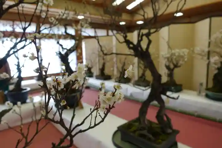 菅原天満宮(菅原神社)(奈良県)