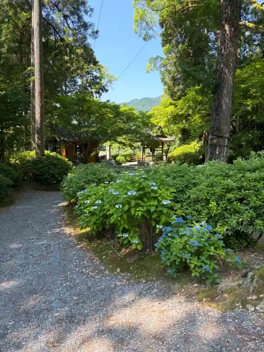大興善寺の{uncategorized: "未分類", other: "その他", undefined: "問題あり", building: "その他建物", grave: "お墓", sacred_gate: "鳥居", guardian: "狛犬", statue: "像", buddha: "仏像", history: "歴史", nature: "自然", garden: "庭園", animal: "動物", pagoda: "塔", temizu: "手水舎", mountain_gate: "山門・神門", sanctuary: "本殿・本堂", subordinate: "末社・摂社", art: "芸術", scenery: "景色", jizo: "地蔵", ema: "絵馬", goshuin: "御朱印", omikuji: "おみくじ", items: "授与品その他", amulet: "お守り", goshuincho: "御朱印帳", eats: "食事", festival: "お祭り", votive_dance: "神楽", shichigosan: "七五三参", wedding: "結婚式", experience: "体験その他", initially: "初詣", around: "周辺", anti_infection: "感染症対策"}