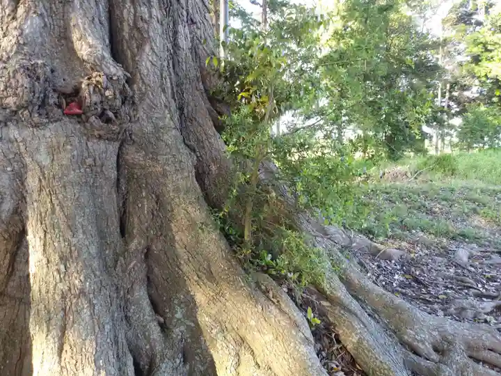 香取神社のその他建物