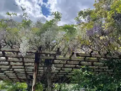 隅田八幡神社(和歌山県)