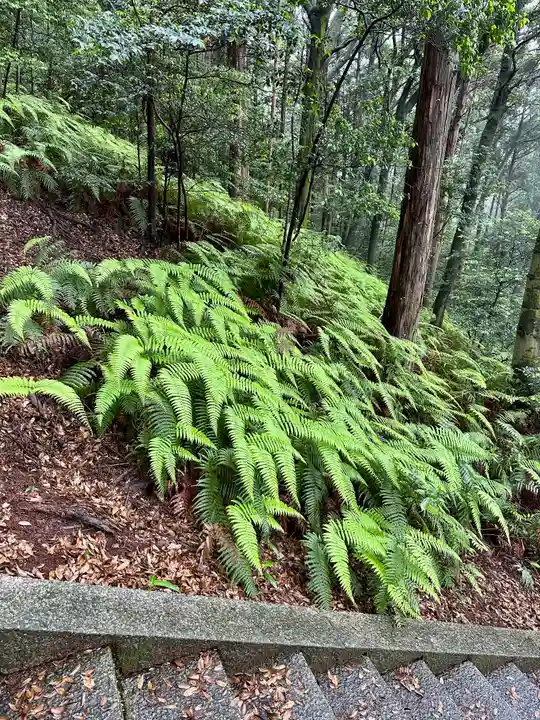 豊国廟(豊国神社飛地境内)の自然