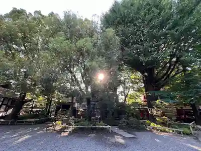 秩父神社(埼玉県)
