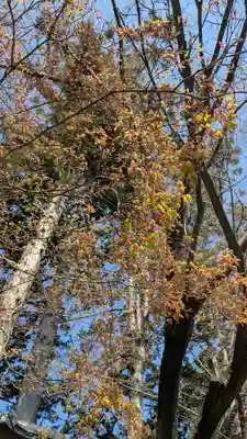 霊源院(京都府)